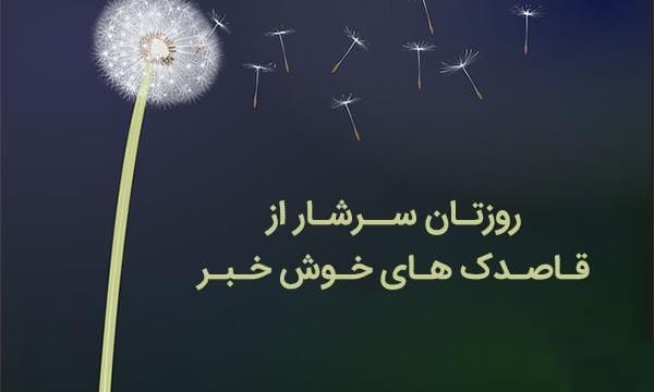 متن در مورد گل و آرامش 🌹؛ جملات دلنشین خاص زیبایی گل و حس آرامش