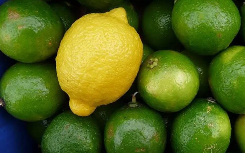 بهترین میوه ها برای درمان و پیشگیری سرماخوردگی (لیست میوه های مفید) بهترین میوه ها برای درمان و پیشگیری سرماخوردگی (لیست میوه های مفید)