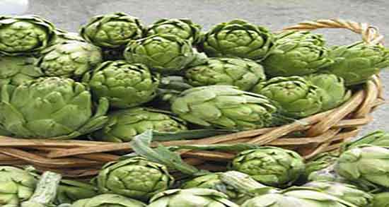 آرتیشو برای چی خوبه و درمان چربی کبد با مصرف ارتیشو پخته شده آرتیشو برای چی خوبه ؛ درمان چربی کبد با مصرف ارتیشو پخته شده