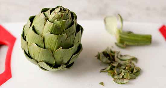 آرتیشو را از کجا بخریم ؛ ایا فروشگاهای اینترنتی گیاه ارتیشو دارند یا نه آرتیشو را از کجا بخریم ؛ ایا فروشگاهای اینترنتی گیاه ارتیشو دارند یا نه