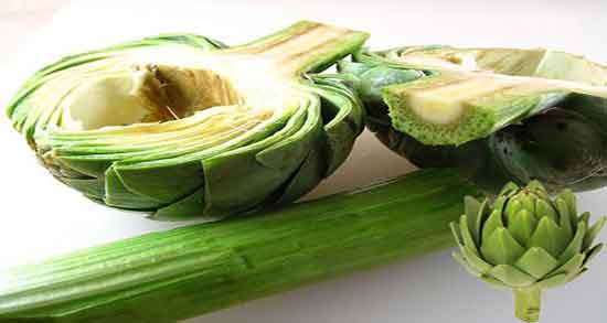 آرتیشو و کلیه و خوردن گیاه ارتیشو تازه برای درمان سنگ کلیه آرتیشو و کلیه ؛ خوردن گیاه ارتیشو تازه برای درمان سنگ کلیه