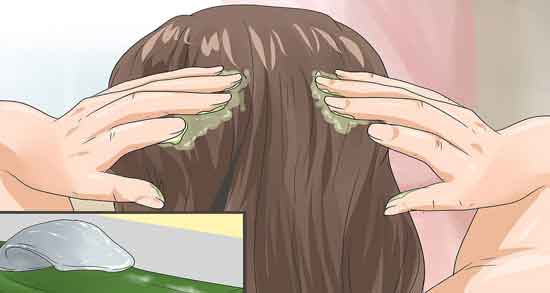 آلوورا برای سفیدی مو ؛ تاثیر استفاده از برای کاهش سفیدی مو آلوورا برای سفیدی مو ؛ تاثیر استفاده از برای کاهش سفیدی مو