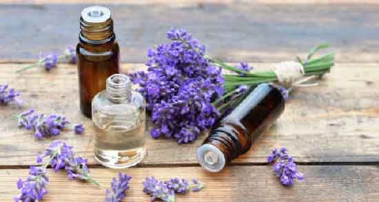 اسطوخودوس در بارداری ؛ خواص و مضرات استفاده از اسطوخودوس برای زن باردار اسطوخودوس در بارداری ؛ خواص و مضرات استفاده از اسطوخودوس برای زن باردار