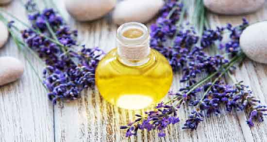 اسطوخودوس در دوران شیردهی ؛ تاثیر مصرف اسطوخودوس در کیفیت شیر مادر اسطوخودوس در دوران شیردهی ؛ تاثیر مصرف اسطوخودوس در کیفیت شیر مادر