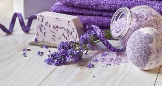 اسطوخودوس در طب سنتی ؛ بررسی خواص و کاربردهای اسطوخودوس در طب سنتی اسطوخودوس در طب سنتی ؛ بررسی خواص و کاربردهای اسطوخودوس در طب سنتی