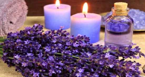 اسطوخودوس و افتیمون ؛ درمان بیماری‌های مغز و اعصاب با مصرف اسطوخودوس و افتیمون