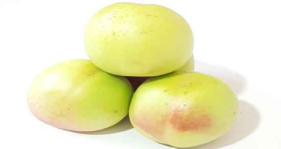 اسم شلیل سبز ؛ نام دیگر شلیل سبز چیست؟ اسم شلیل سبز ؛ نام دیگر شلیل سبز چیست؟