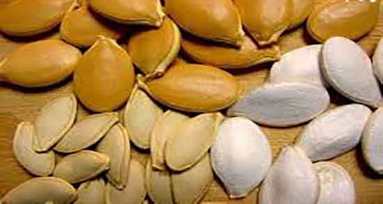 انواع تخمه هندوانه ؛ قیمت انواع تخمه های هندوانه در فروشگاها انواع تخمه هندوانه ؛ قیمت انواع تخمه های هندوانه در فروشگاها