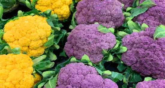 انواع گل کلم ؛ چند نوع گل کلم در بازار وجود دارد