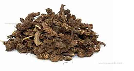 ایا سنبل الطیب چاق کننده است و ایا خوردن سنبل الطیب چاق کننده است ایا سنبل الطیب چاق کننده است ؛ ایا خوردن سنبل الطیب چاق کننده است