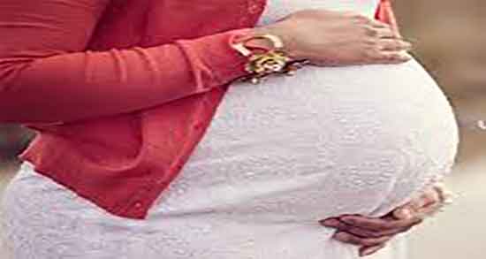 بادرنجبویه برای زن باردار ؛ خواص بادرنجبویه برای زنان باردار چیست بادرنجبویه برای زن باردار ؛ خواص بادرنجبویه برای زنان باردار چیست