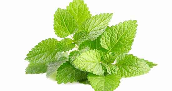 بادرنجبویه و گل گاوزبان ؛ ترکیب بادرنجبویه و گل گاو زبان برای اعصاب بادرنجبویه و گل گاوزبان ؛ ترکیب بادرنجبویه و گل گاو زبان برای اعصاب