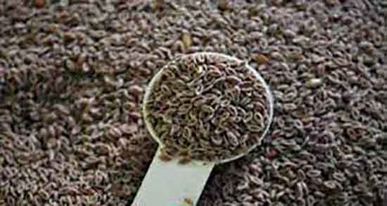 بارهنگ برای نوزاد ؛ خاصیت مصرف شربت بارهنگ برای نوزادان چیست