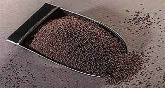 بارهنگ در طب سنتی ؛ فواید دانه بارهنگ از نظر طب سنتی چیست بارهنگ در طب سنتی ؛ فواید دانه بارهنگ از نظر طب سنتی چیست