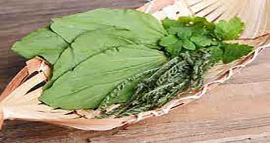 بارهنگ و خاکشیر برای یبوست و خاکشیر و بارهنگ برای یبوست اطفال بارهنگ و خاکشیر برای یبوست ؛ خاکشیر و بارهنگ برای یبوست اطفال