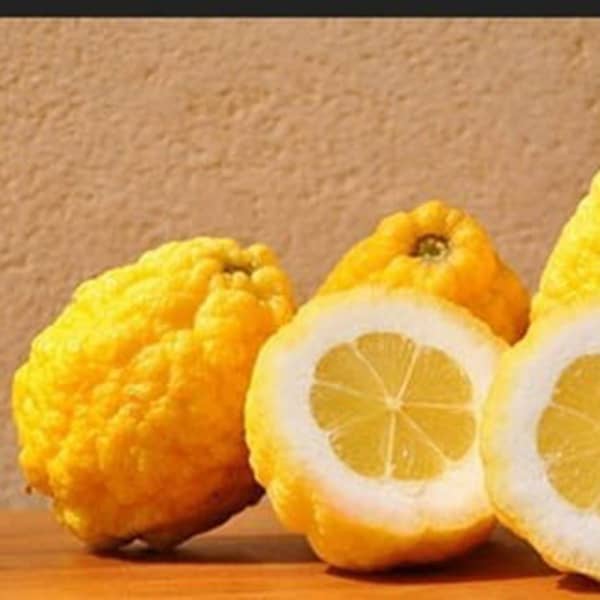 بالنگو داروی قطعی ۱۴ بیماری | میوه ای که معجزه می کند بالنگو داروی قطعی 14 بیماری | میوه ای که معجزه می کند