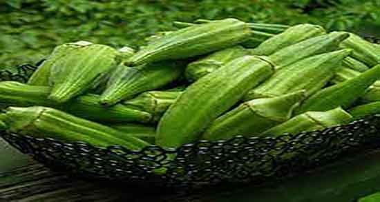 بامیه در شیردهی ؛ ایا خوردن بامیه موجب افزایش شیر مادران میشود بامیه در شیردهی ؛ ایا خوردن بامیه موجب افزایش شیر مادران میشود