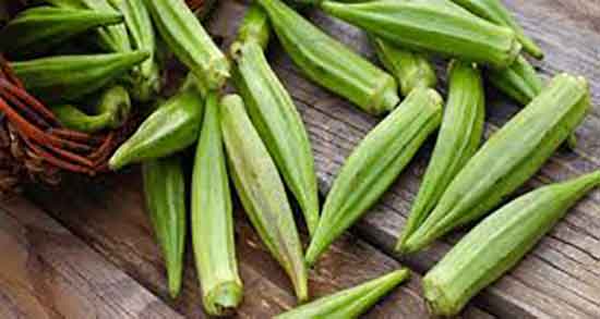 بامیه و سقط جنین ؛ مضرات مصرف بامیه پخته برای سقط جنین بامیه و سقط جنین ؛ مضرات مصرف بامیه پخته برای سقط جنین