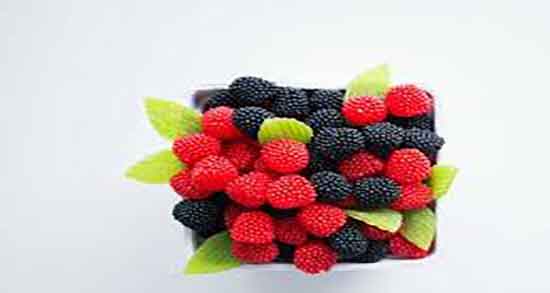 برگ درخت شاه توت برای لک صورت ؛ ایا ماسک برگ درخت برای جوش خوبه برگ درخت شاه توت برای لک صورت ؛ ایا ماسک برگ درخت برای جوش خوبه