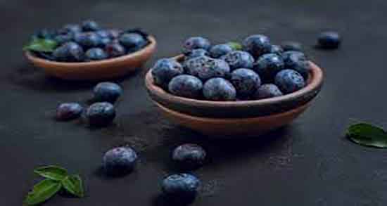 بلوبری از کجا بخریم ؛ ایا میتوان از فروشگاهای اینترنتی بلوبری خشک خرید بلوبری از کجا بخریم ؛ ایا میتوان از فروشگاهای اینترنتی بلوبری خشک خرید