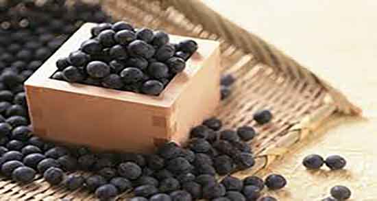 بلوبری و خواص آن ؛ ایا مصرف بلوبری تازه خاصیت ضد سرطانی دارد بلوبری و خواص آن ؛ ایا مصرف بلوبری تازه خاصیت ضد سرطانی دارد