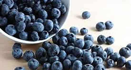 بلوبری و فاویسم و خاصیت مصرف بلوبری برای درمان بیماری فاویسم بلوبری و فاویسم ؛ خاصیت مصرف بلوبری برای درمان بیماری فاویسم