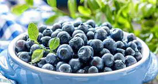 بلوبری و فشار خون ؛ ایا بلوبری برای کنترل فشار خون مفید است