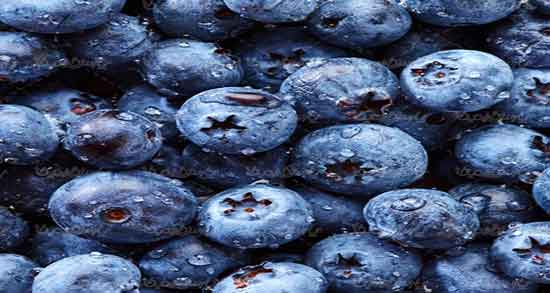 بلوبری و لاغری ؛ ایا خوردن بلوبری باعث لاغری و تناسب اندام میشود بلوبری و لاغری ؛ ایا خوردن بلوبری باعث لاغری و تناسب اندام میشود