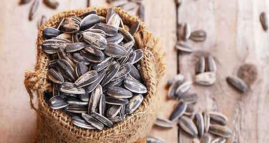 تخمه آفتابگردان برای کبد چرب مضر است؟ ؛ عوارض تخمه افتابگردان در کبد تخمه آفتابگردان برای کبد چرب مضر است؟ ؛ عوارض تخمه افتابگردان در کبد