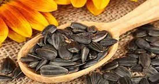 تخمه آفتابگردان و لاغری ؛ خاصیت تخمه آفتابگردان برای لاغری صورت تخمه آفتابگردان و لاغری ؛ خاصیت تخمه آفتابگردان برای لاغری صورت
