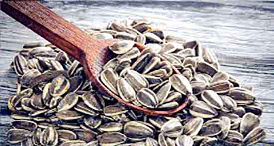 تخمه آفتابگردان و چاقی ؛ تخمه آفتابگردان برای چاقی صورت نی نی سایت تخمه آفتابگردان و چاقی ؛ تخمه آفتابگردان برای چاقی صورت نی نی سایت