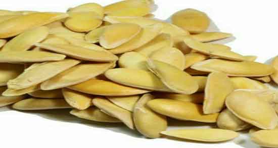 تخمه خربزه برای طوطی ؛ ایا مصرف تخمه خربزه برای صدای طوطی خوبه تخمه خربزه برای طوطی ؛ ایا مصرف تخمه خربزه برای صدای طوطی خوبه