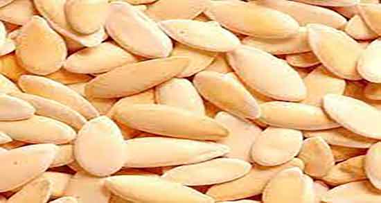 تخمه خربزه و طالبی ؛ خاصیت تخمه خربزه و طالبی برای کم خونی