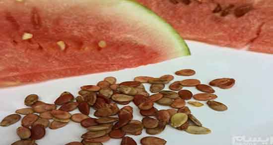 تخمه هندوانه برای عروس هلندی ؛ تخمه هندوانه برای عروس هلندی مضره تخمه هندوانه برای عروس هلندی ؛ تخمه هندوانه برای عروس هلندی مضره