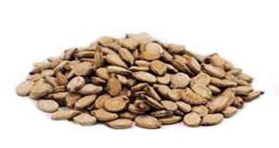 تخمه هندوانه برای نقرس ؛ ایا تخمه هندوانه برای بیماری نقرس خوب است تخمه هندوانه برای نقرس ؛ ایا تخمه هندوانه برای بیماری نقرس خوب است