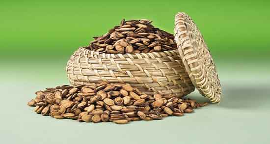 تخمه هندوانه برای چی خوبه ؛ ایا خوردن تخمه هندوانه برای بارداری خوبه تخمه هندوانه برای چی خوبه ؛ ایا خوردن تخمه هندوانه برای بارداری خوبه