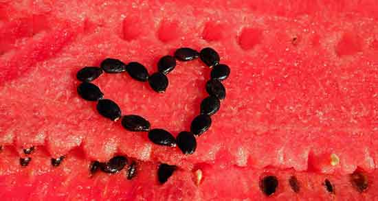 تخمه هندوانه برای گلو درد ؛ فواید هندوانه برای سرماخوردگی و کرونا تخمه هندوانه برای گلو درد ؛ فواید هندوانه برای سرماخوردگی و کرونا