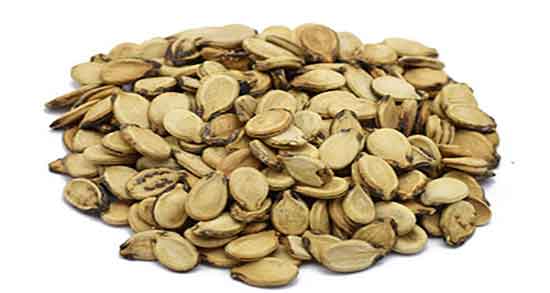 تخمه هندوانه در بارداری ؛ خوردن تخمه هندوانه در بارداری نی نی سایت تخمه هندوانه در بارداری ؛ خوردن تخمه هندوانه در بارداری نی نی سایت