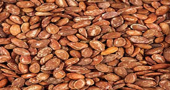 تخمه ژاپنی برای معده ؛ تخمه ژاپنی برای درمان زخم معده چیست تخمه ژاپنی برای معده ؛ تخمه ژاپنی برای درمان زخم معده چیست