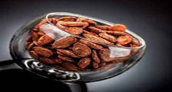 تخمه ژاپنی در رژیم ؛ خاصیت مصرف تخمه ژاپنی در رژیم کتو چیست تخمه ژاپنی در رژیم ؛ خاصیت مصرف تخمه ژاپنی در رژیم کتو چیست