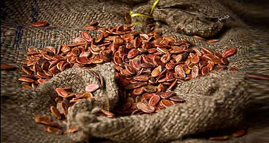 تخمه ژاپنی و لاغری ؛ آیا تخمه ژاپنی باعث لاغری میشود یا نه تخمه ژاپنی و لاغری ؛ آیا تخمه ژاپنی باعث لاغری میشود یا نه