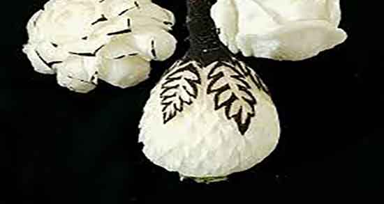 ترب سیاه برای سنگ کلیه خوب است ؛ ترب سیاه برای دفع سنگ کلیه ترب سیاه برای سنگ کلیه خوب است ؛ ترب سیاه برای دفع سنگ کلیه