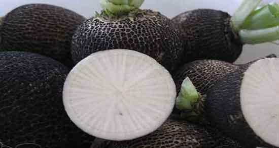 ترب سیاه برای لک ؛ ایا ماسک ترب سیاه برای لک صورت مفیده ترب سیاه برای لک ؛ ایا ماسک ترب سیاه برای لک صورت مفیده