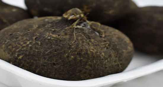 ترب سیاه در شیردهی ؛ خاصیت خوردن ترب سیاه در دوران شیردهی ترب سیاه در شیردهی ؛ خاصیت خوردن ترب سیاه در دوران شیردهی