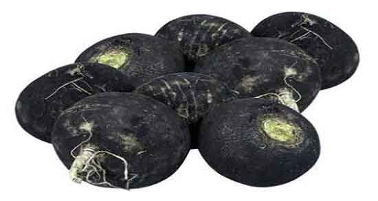 ترب سیاه و لاغری ؛ ایا خوردن ترب سیاه باعث کاهش اشتها میشود ترب سیاه و لاغری ؛ ایا خوردن ترب سیاه باعث کاهش اشتها میشود