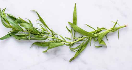 ترخون در چه غذاهایی استفاده میشود ؛ فواید مصرف ترخون در ابگوشت