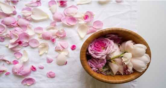 ترکیبات گل محمدی ؛ آیا می دانید گل محمدی شامل چه ترکیباتی می شود؟ ترکیبات گل محمدی ؛ آیا می دانید گل محمدی شامل چه ترکیباتی می شود؟