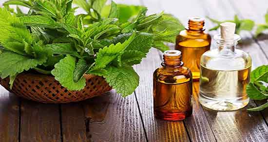 تشخیص روغن درخت چای اصل ؛ تشخیص روغن درخت چای اصل از تقلبی