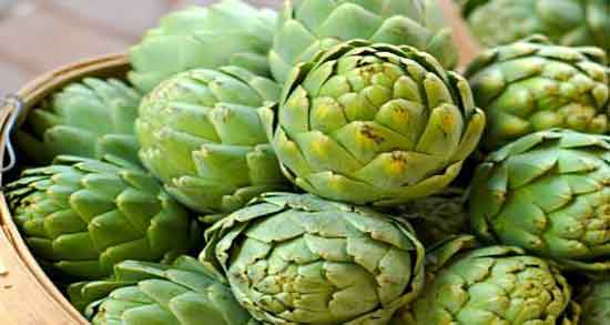 تصویر کنگر فرنگی ؛ عکس کنگر فرنگی و خواص آن برای زنان باردار تصویر کنگر فرنگی ؛ عکس کنگر فرنگی و خواص آن برای زنان باردار