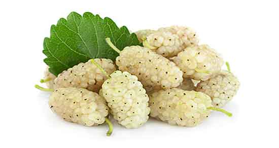 توت برای زن باردار و ایا خوردن شاه توت خشک برای زنان باردار مفیده توت برای زن باردار ؛ ایا خوردن شاه توت خشک برای زنان باردار مفیده